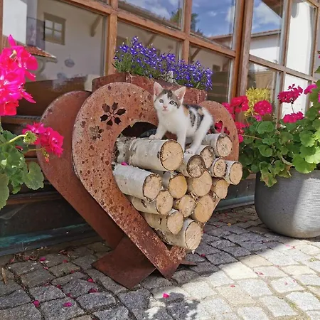 Bauernhof Suesshof * Zwiesel