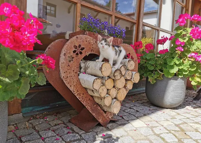 Bauernhof Suesshof * Zwiesel